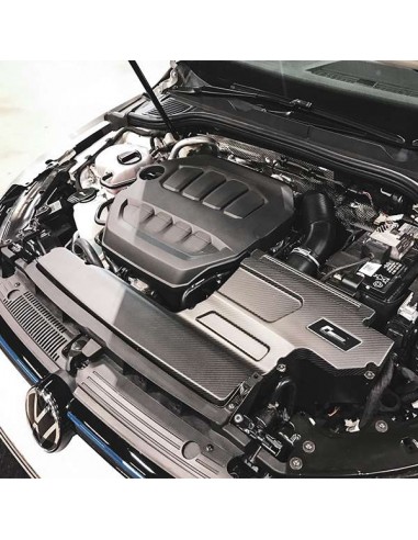 Kit de admisión Racingline R600 VW Passat 2.0 TSI 15- (Tapa carbono)(Espuma)