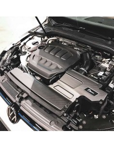 Kit de admisión Racingline R600 Audi TT/TTS 2.0 TSI 8S 14- (Tapa carbono)(Espuma)