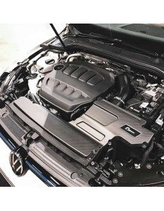 Kit de admisión Racingline R600 VW Golf VIII GTI/R 20- (Tapa carbono)(Algodón)