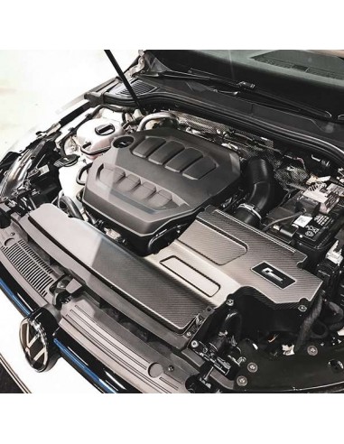 Kit de admisión Racingline R600 Seat Leon 5F 1.8 TSI 14-20 (Tapa carbono)(Algodón)