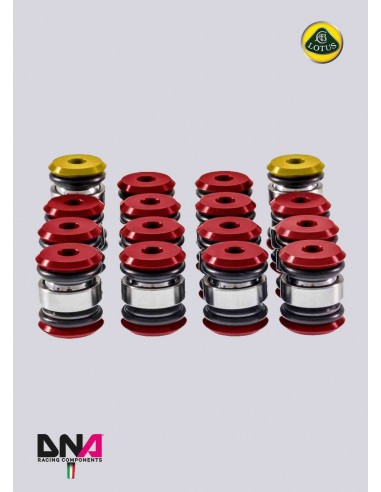 Kit silentblocks brazos suspensión DNA Racing Lotus Elise/Exige