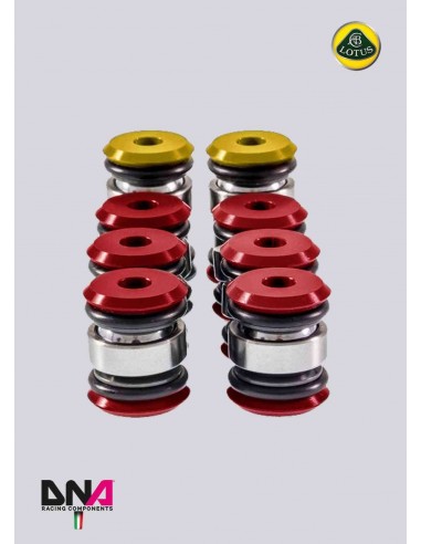 Kit silentblocks uniball brazos suspensión DNA Racing Lotus Elise/Exige S2