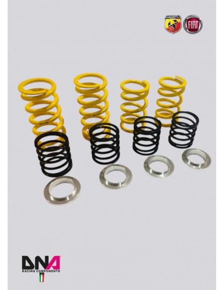 Kit muelles WRS DNA Racing Abarth 500