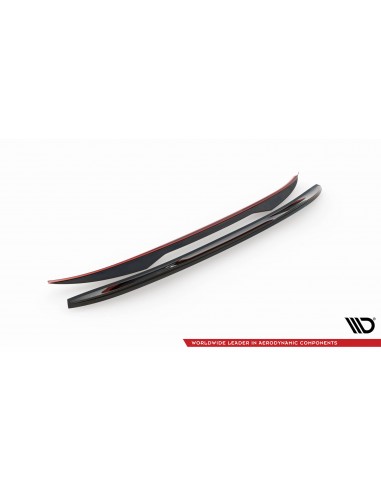 Extensión alerón 3D BMW X4 G02 (Con pack M)