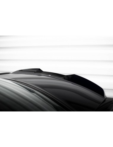 Extensión alerón 3D Chrysler 300C Mk2