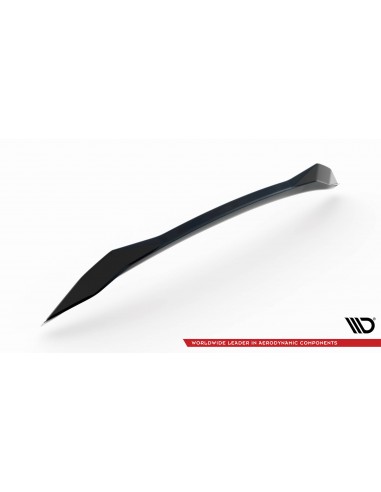 Extensión alerón 3D inferior Lexus RX Mk4 (Facelift)