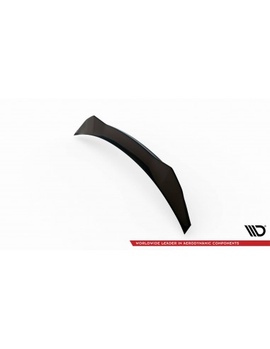 Extensión alerón 3D inferior Lexus RX Mk4 (Facelift)