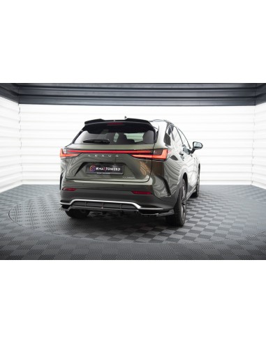 Extensión alerón 3D Lexus NX F-Sport Mk2