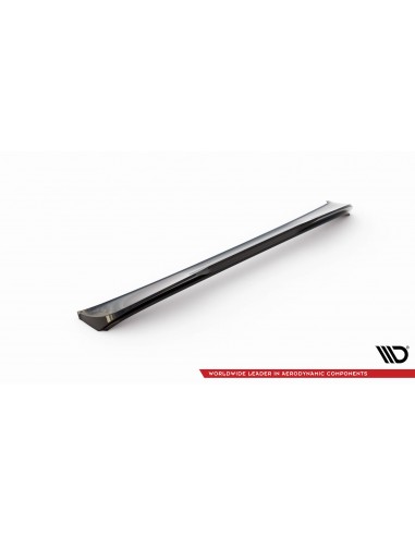 Extensión alerón 3D Seat Tarraco FR