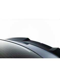 Extensión alerón 3D Tesla Model 3