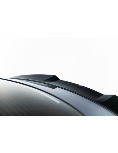 Extensión alerón 3D Tesla Model 3