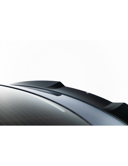 Extensión alerón 3D Tesla Model 3