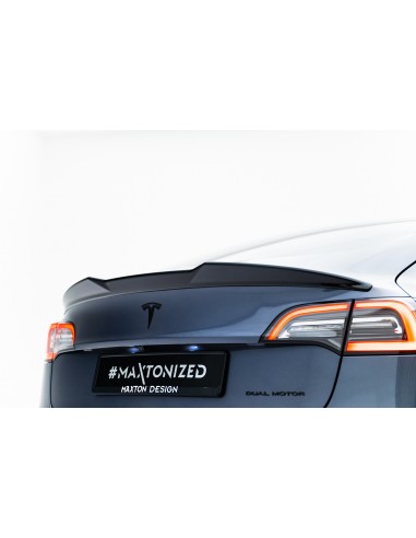 Extensión alerón 3D Tesla Model 3