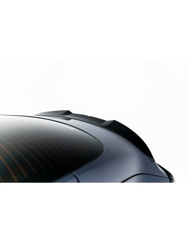 Extensión alerón 3D Tesla Model 3