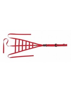 Red de seguridad OMP