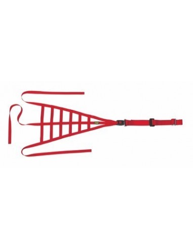 Red de seguridad OMP