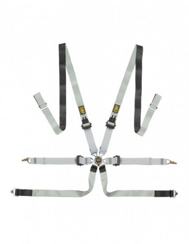 Arnés OMP 0102 HSL Pull Down