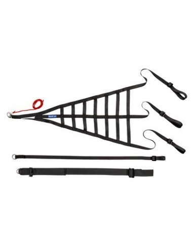 Red de Seguridad Sparco FIA Tipo 1