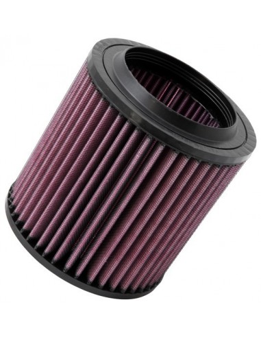 Filtro de aire K&N Audi A8 (4E) 5.2i 2007-2010