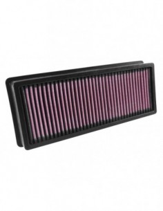 Filtro de aire K&N BMW X6 (F16) 40dX 2013-