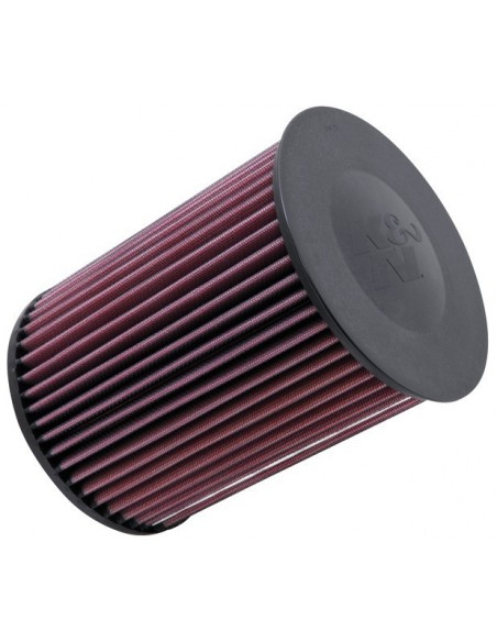 Filtro de aire K&N Ford C-Max 1.0i/1.5d/1.5i/1.6d/1.6i/1.8i/2.0d/2.0i 2007-