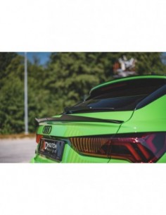 Alerón trasero Audi RSQ3 F3 Sportback