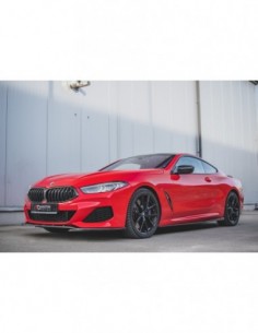 Faldones laterales BMW Serie 8 G15 M850i 2