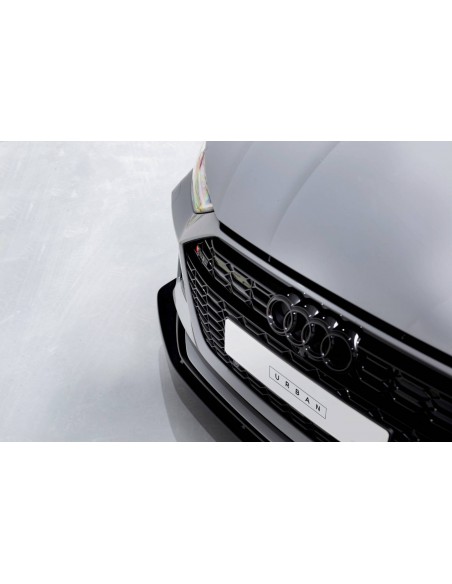 Lip delantero V.2 Audi RS6 C8