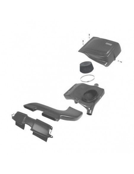 KIT ADMISIÓN CARBONO ARMASPEED BMW 335I E9X N54
