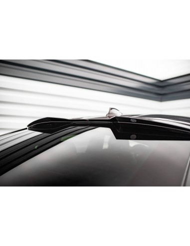 Alerón trasero BMW X6 G06 (Con pack M)