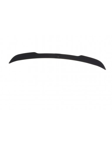 Extensión alerón BMW X5 E70 (Con pack M)(Facelift)